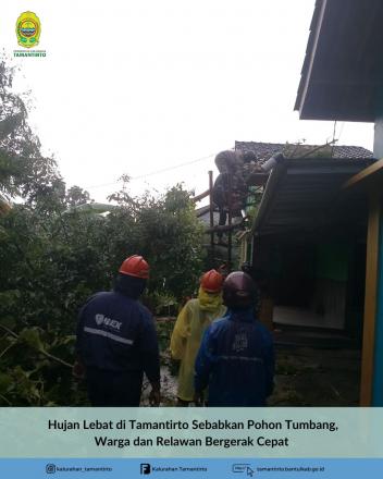 Hujan Lebat di Tamantirto Sebabkan Pohon Tumbang, Warga dan Relawan Bergerak Cepat